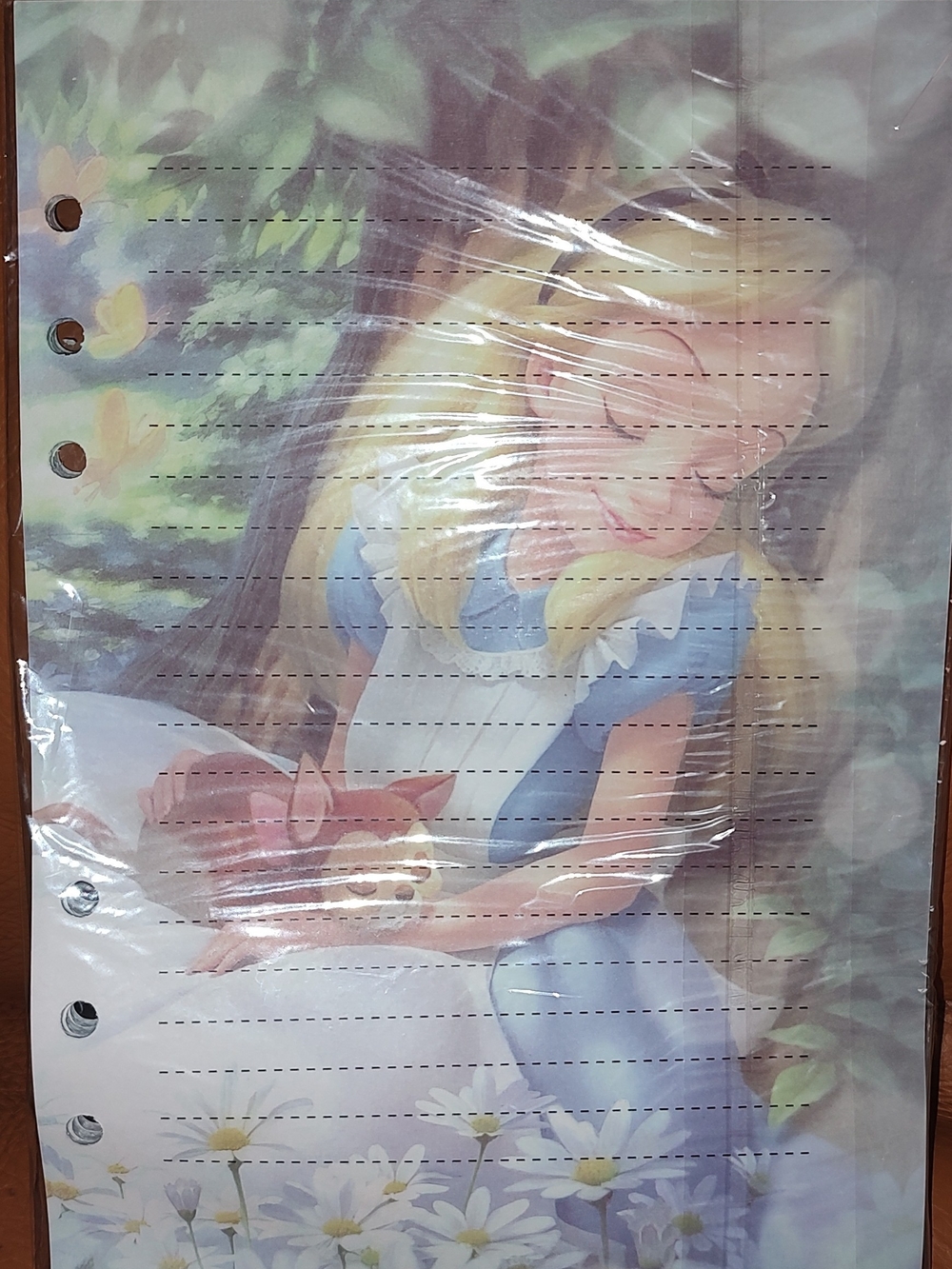 New! A5 Notebook Refill Paper Vintage Alice in Wonderland